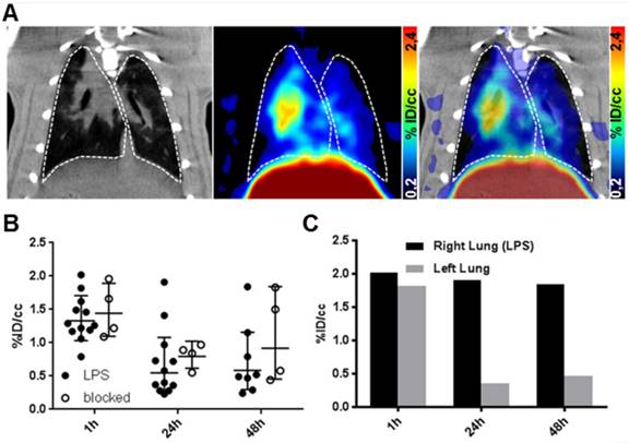 Theranostics Image