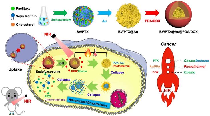 Theranostics Image