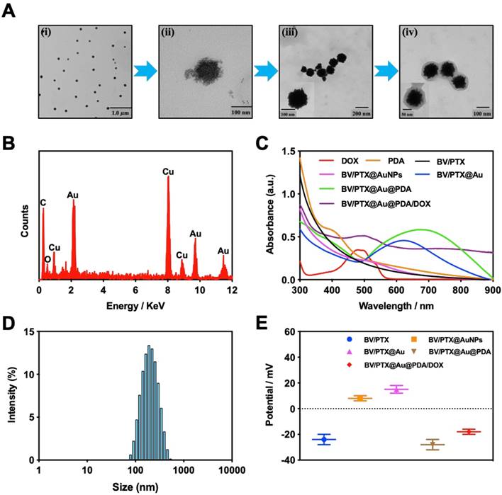 Theranostics Image