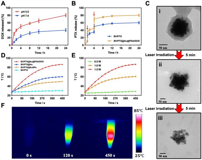 Theranostics Image