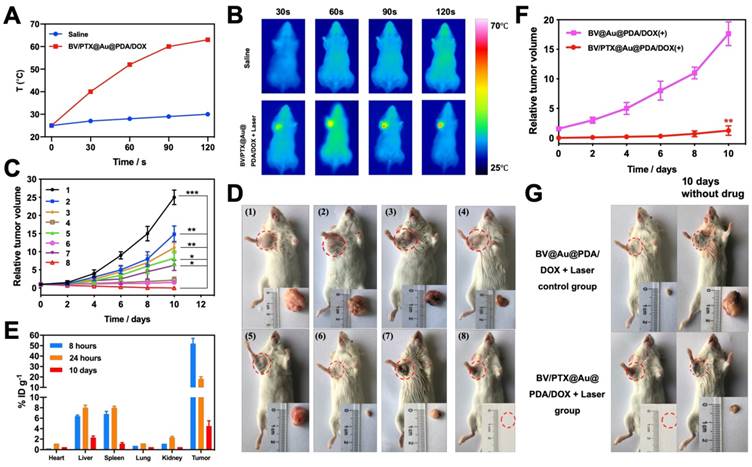 Theranostics Image