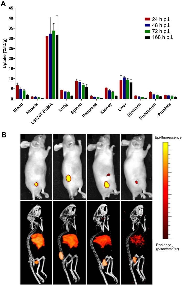 Theranostics Image