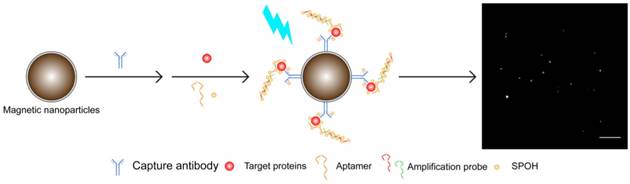 Theranostics Image