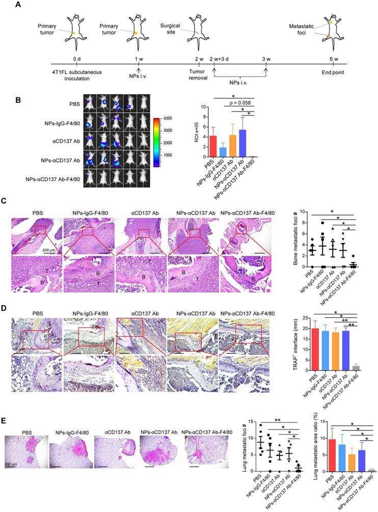 Theranostics Image