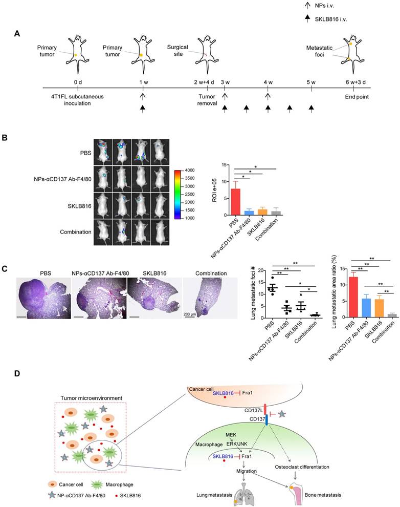 Theranostics Image