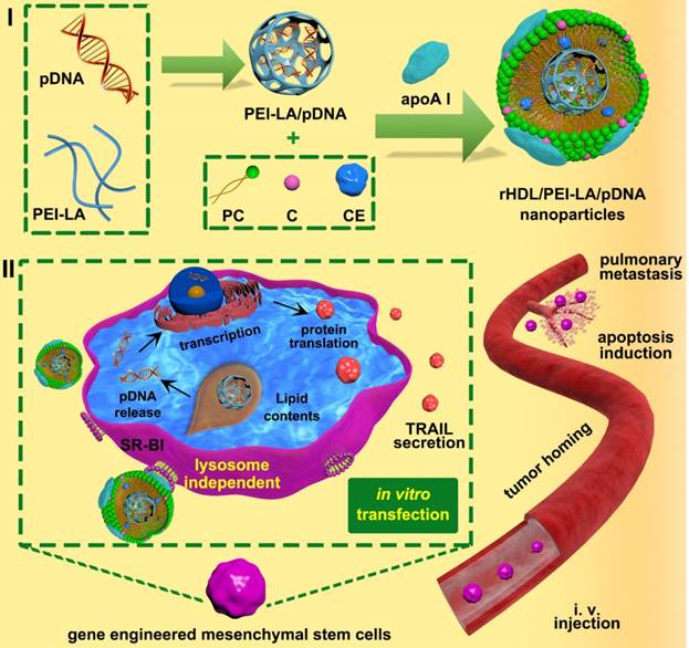 Theranostics Image