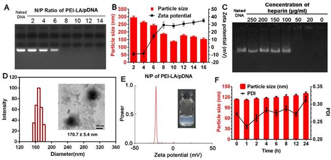 Theranostics Image