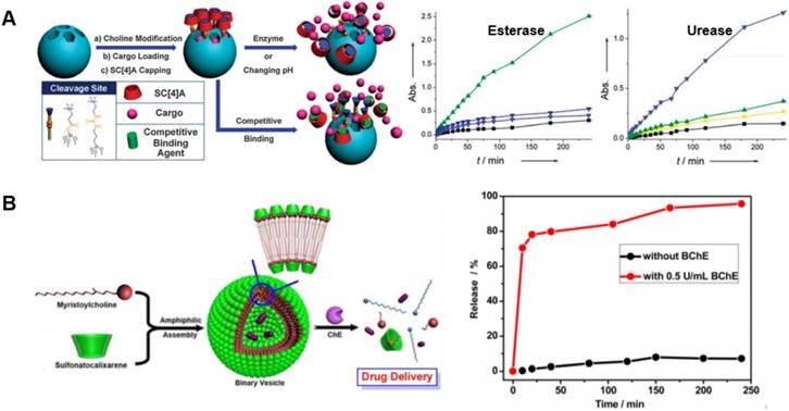 Theranostics Image