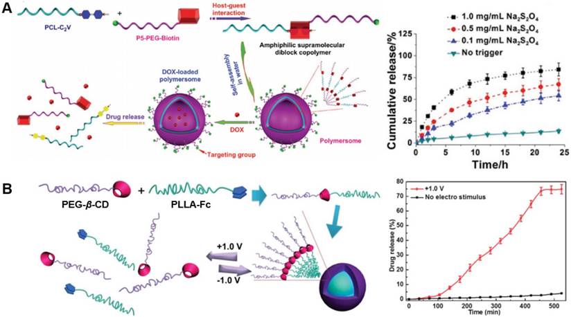 Theranostics Image