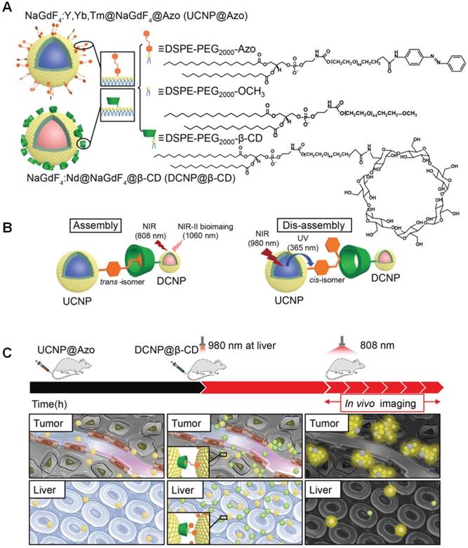 Theranostics Image