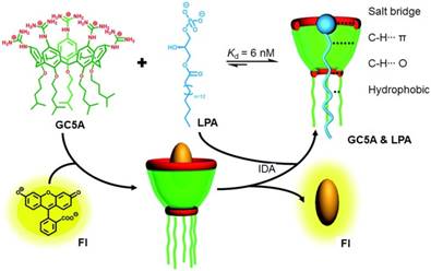 Theranostics Image