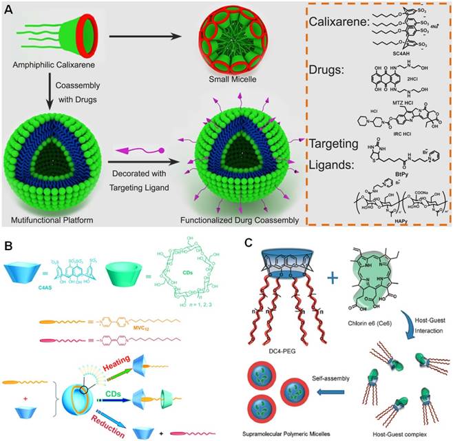 Theranostics Image