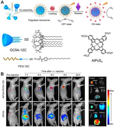 Theranostics Image