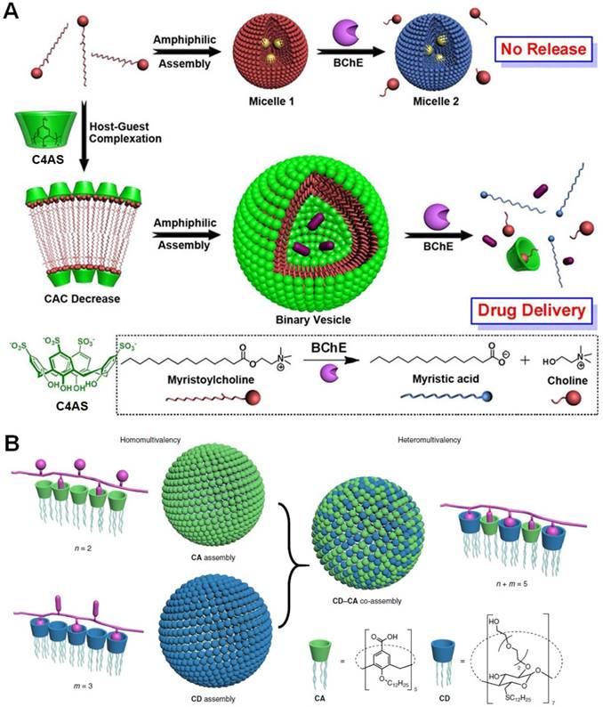 Theranostics Image