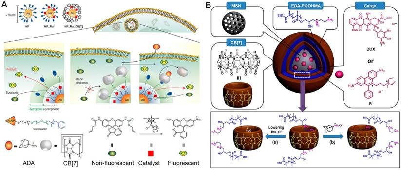 Theranostics Image