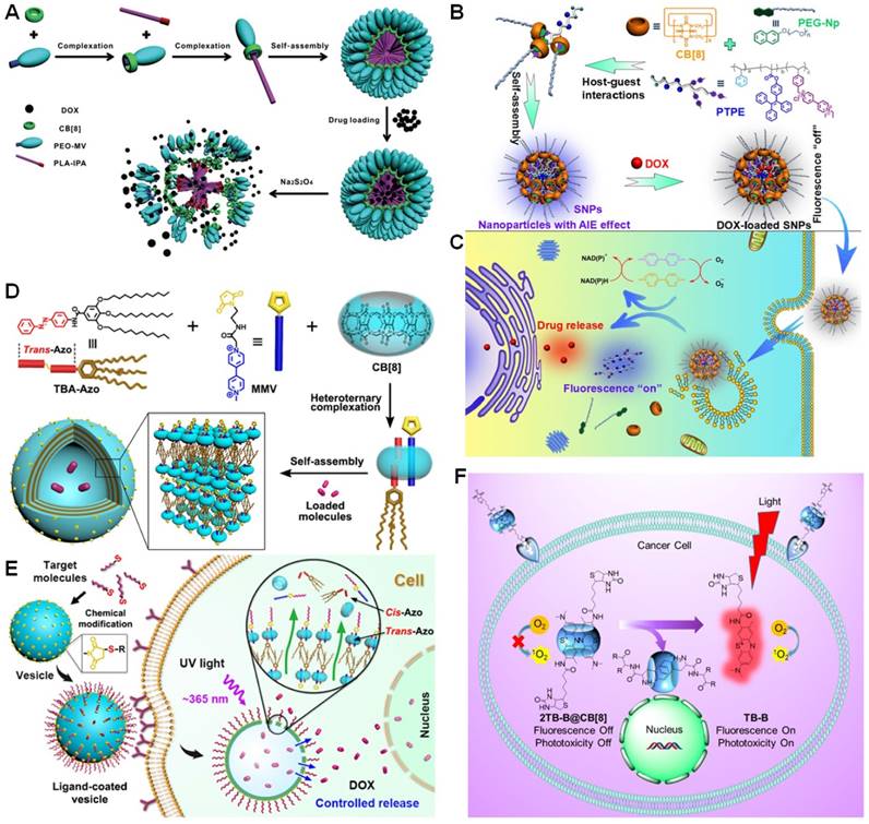 Theranostics Image