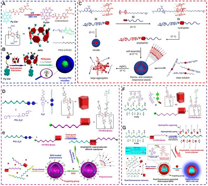 Theranostics Image