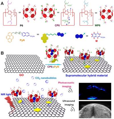 Theranostics Image