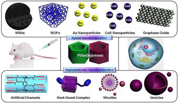 Theranostics Image