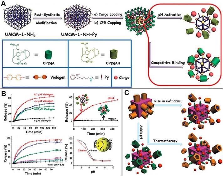 Theranostics Image