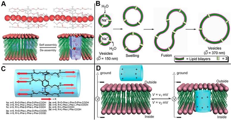 Theranostics Image