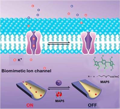 Theranostics Image