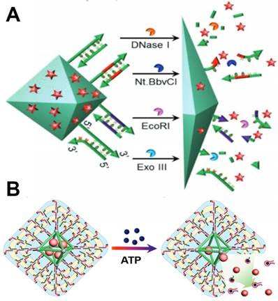 Theranostics Image