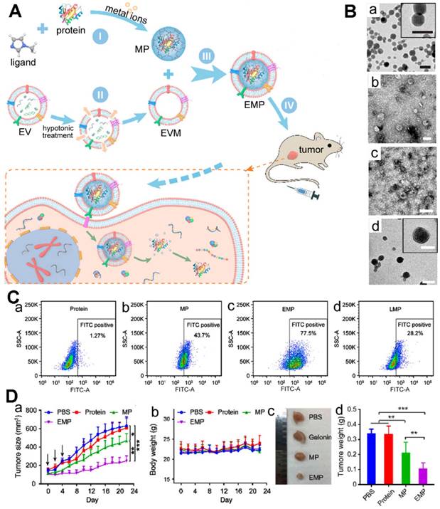 Theranostics Image