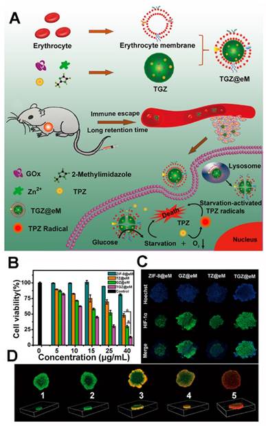 Theranostics Image