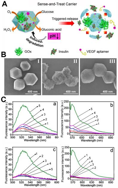 Theranostics Image