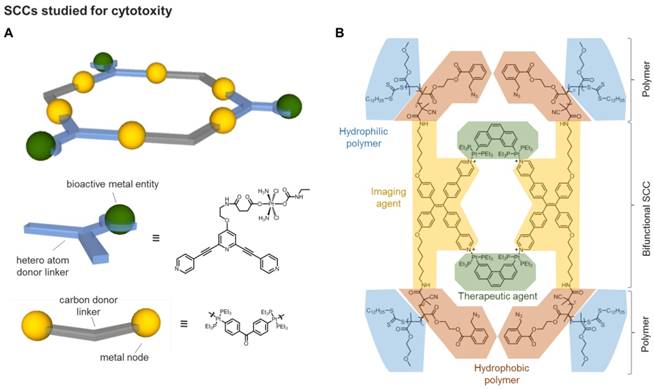 Theranostics Image