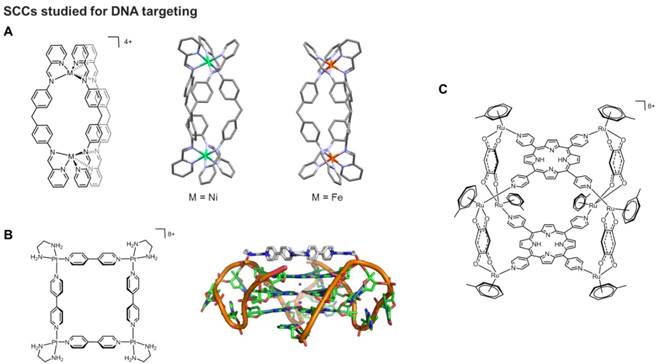 Theranostics Image