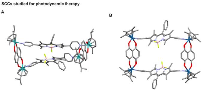 Theranostics Image