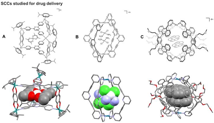 Theranostics Image