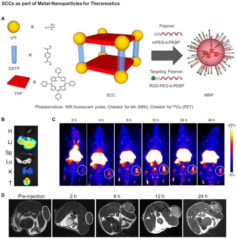 Theranostics Image