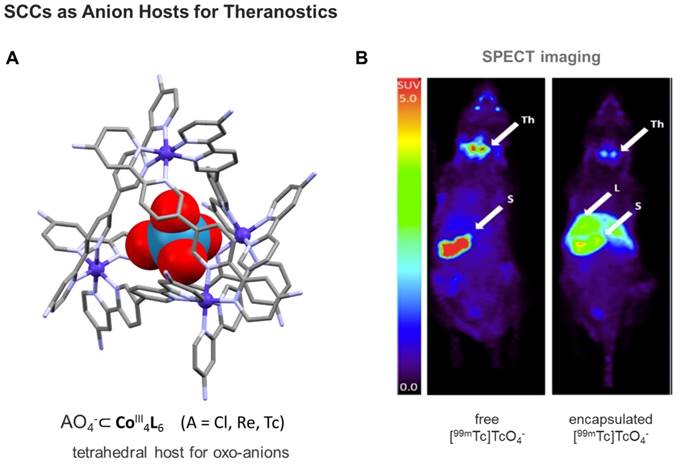 Theranostics Image