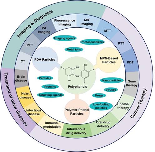 Theranostics Image