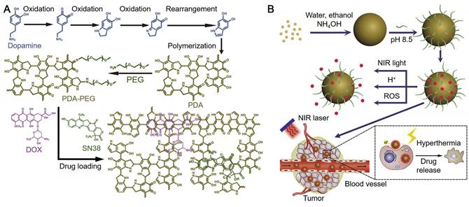 Theranostics Image