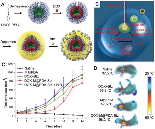 Theranostics Image