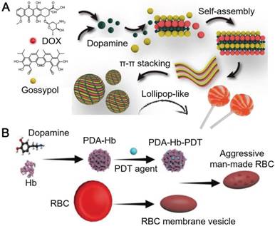 Theranostics Image