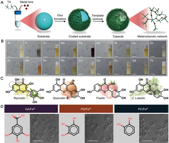 Theranostics Image