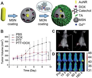 Theranostics Image