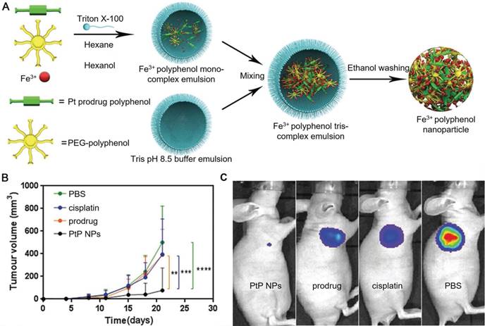 Theranostics Image