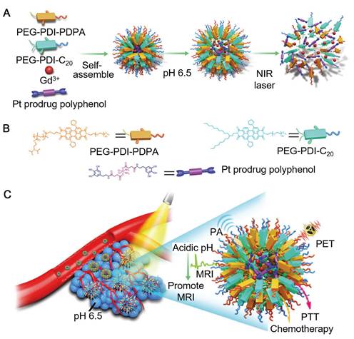 Theranostics Image