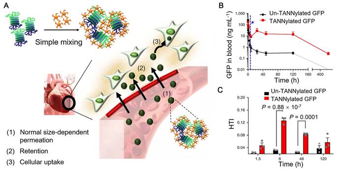 Theranostics Image