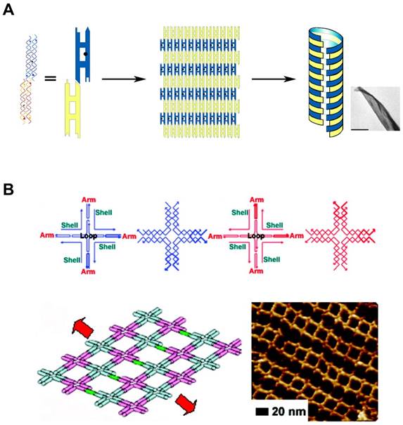 Theranostics Image