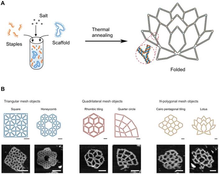 Theranostics Image