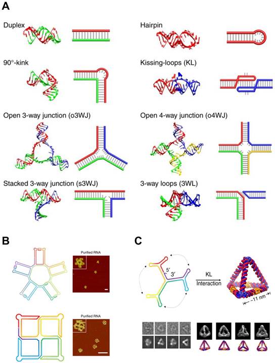 Theranostics Image