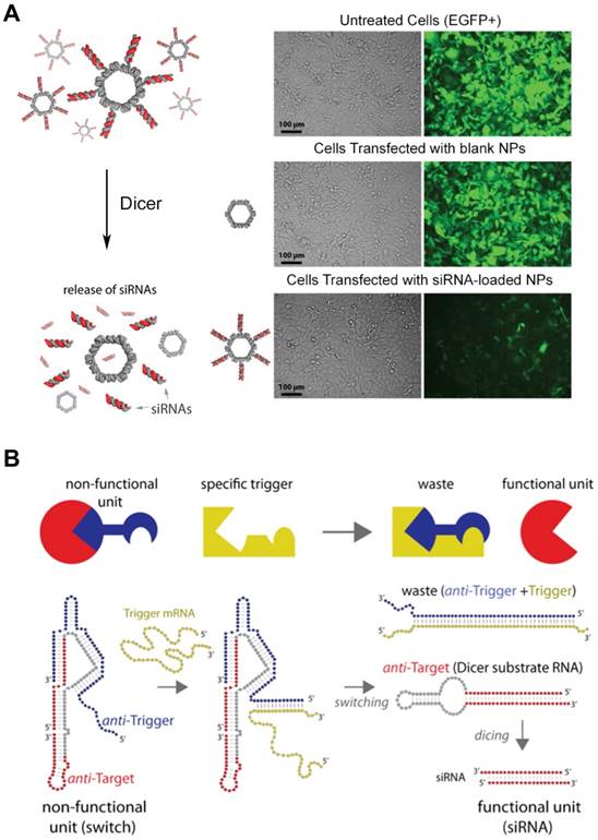 Theranostics Image