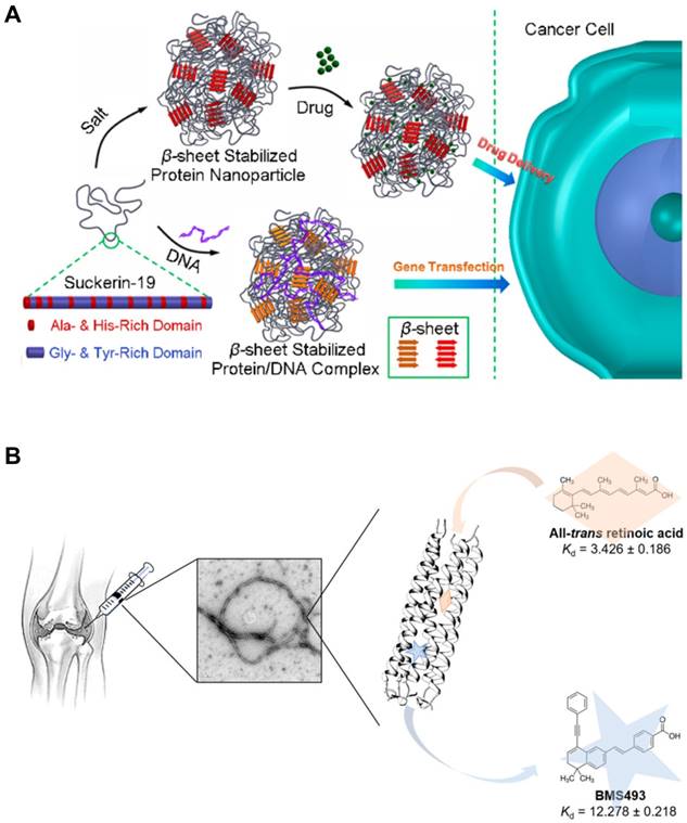 Theranostics Image